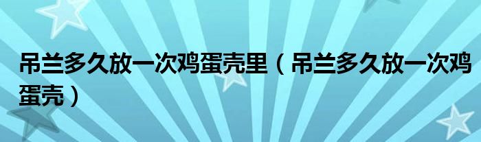 吊兰多久放一次鸡蛋壳里（吊兰多久放一次鸡蛋壳）