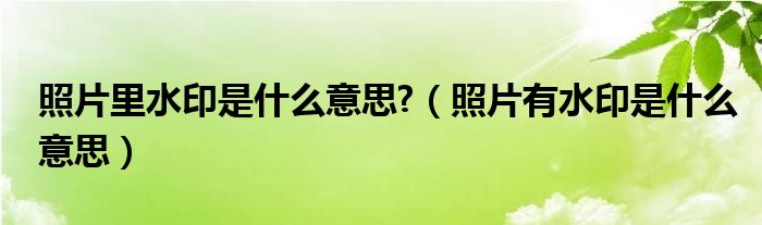 照片里水印是什么意思?（照片有水印是什么意思）