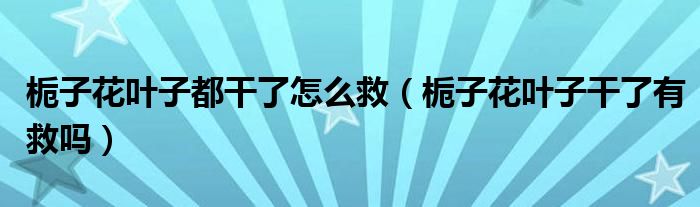 栀子花叶子都干了怎么救（栀子花叶子干了有救吗）