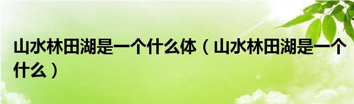 山水林田湖是一个什么体（山水林田湖是一个什么）