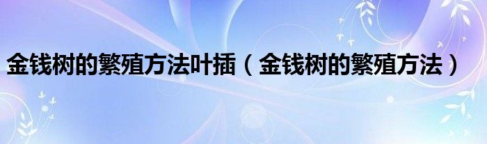 金钱树的繁殖方法叶插（金钱树的繁殖方法）