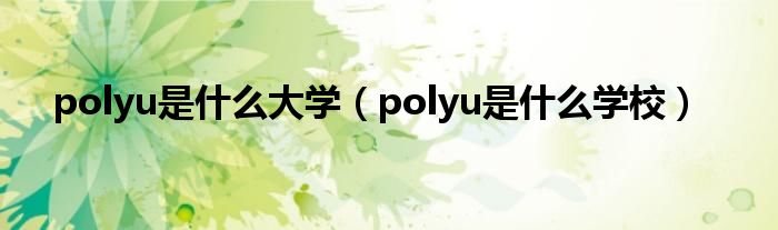 polyu是什么大学（polyu是什么学校）