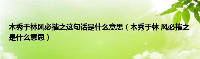 木秀于林风必摧之这句话是什么意思（木秀于林 风必摧之 是什么意思）