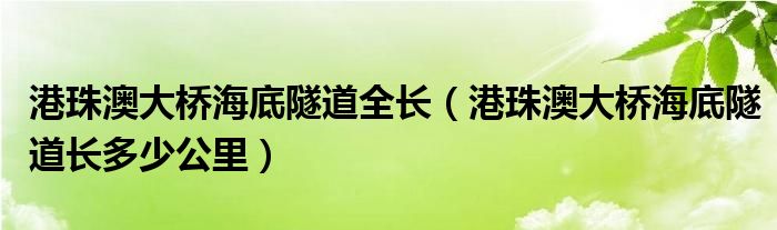 港珠澳大桥海底隧道全长（港珠澳大桥海底隧道长多少公里）