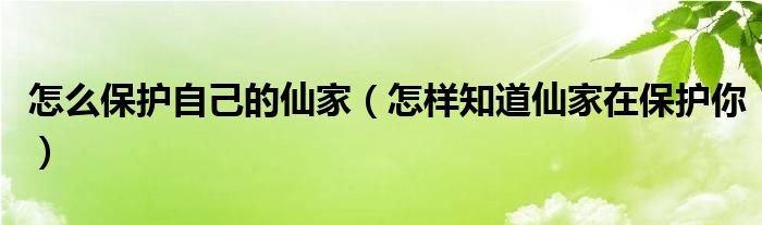 怎么保护自己的仙家（怎样知道仙家在保护你）