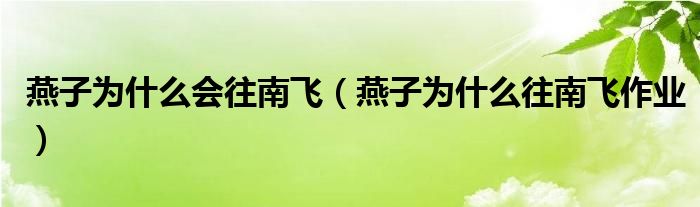 燕子为什么会往南飞（燕子为什么往南飞作业）