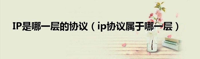 IP是哪一层的协议（ip协议属于哪一层）