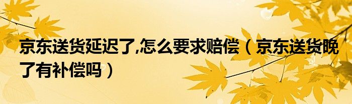 京东送货延迟了,怎么要求赔偿（京东送货晚了有补偿吗）