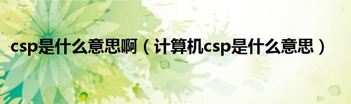 csp是什么意思啊（计算机csp是什么意思）