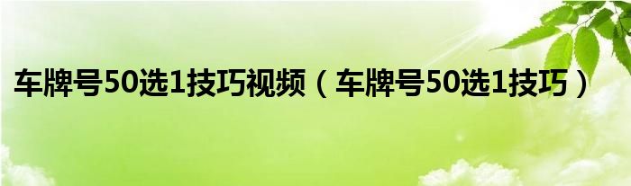 车牌号50选1技巧视频（车牌号50选1技巧）