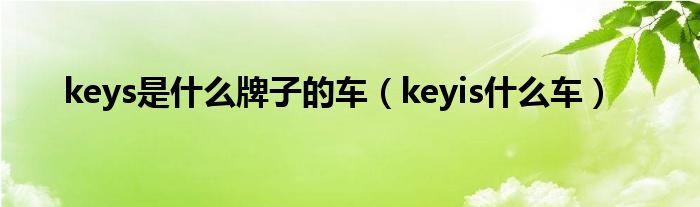 keys是什么牌子的车（keyis什么车）