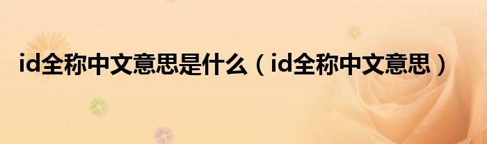 id全称中文意思是什么（id全称中文意思）