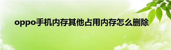 oppo手机内存其他占用内存怎么删除