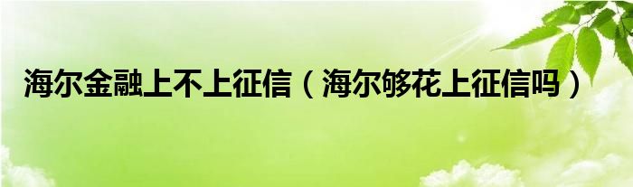 海尔金融上不上征信（海尔够花上征信吗）