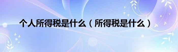 个人所得税是什么（所得税是什么）