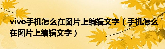 vivo手机怎么在图片上编辑文字（手机怎么在图片上编辑文字）