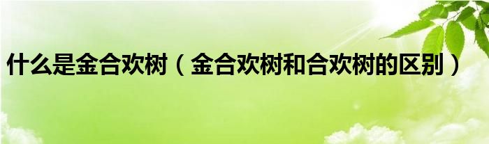 什么是金合欢树（金合欢树和合欢树的区别）