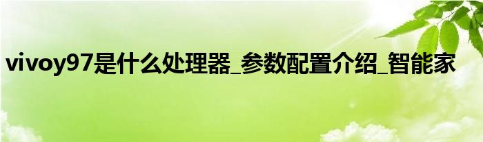 vivoy97是什么处理器_参数配置介绍_智能家