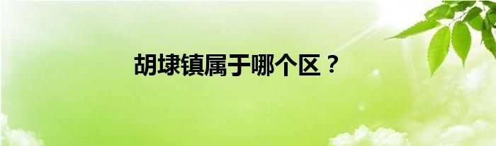 胡埭镇属于哪个区？