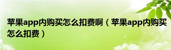 苹果app内购买怎么扣费啊（苹果app内购买怎么扣费）