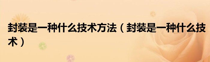 封装是一种什么技术方法（封装是一种什么技术）