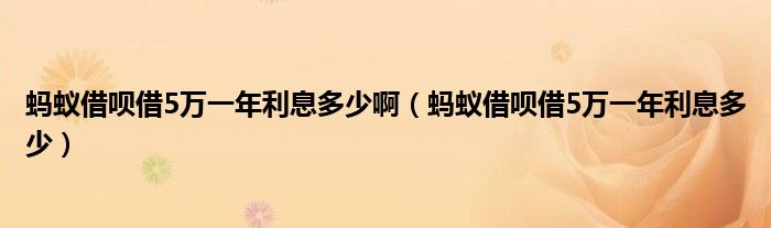 蚂蚁借呗借5万一年利息多少啊（蚂蚁借呗借5万一年利息多少）