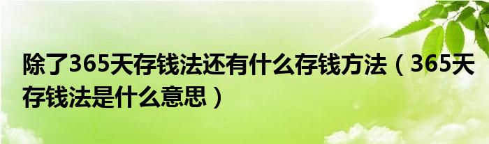 除了365天存钱法还有什么存钱方法（365天存钱法是什么意思）