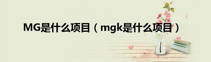 MG是什么项目（mgk是什么项目）