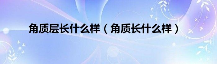 角质层长什么样（角质长什么样）