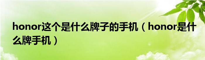 honor这个是什么牌子的手机（honor是什么牌手机）