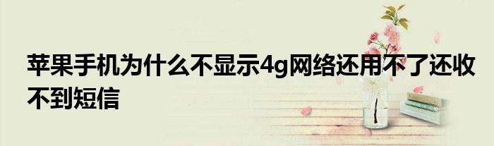 苹果手机为什么不显示4g网络还用不了还收不到短信