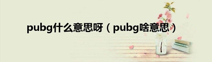 pubg什么意思呀（pubg啥意思）