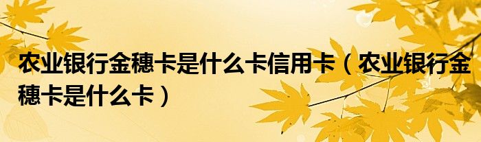 农业银行金穗卡是什么卡信用卡（农业银行金穗卡是什么卡）