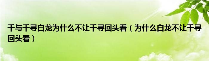 千与千寻白龙为什么不让千寻回头看（为什么白龙不让千寻回头看）