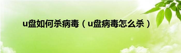 u盘如何杀病毒（u盘病毒怎么杀）