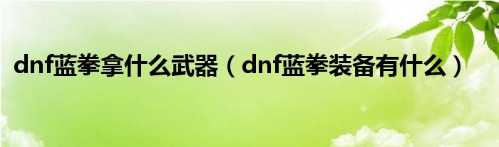 dnf蓝拳拿什么武器（dnf蓝拳装备有什么）