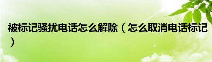 被标记骚扰电话怎么解除（怎么取消电话标记）