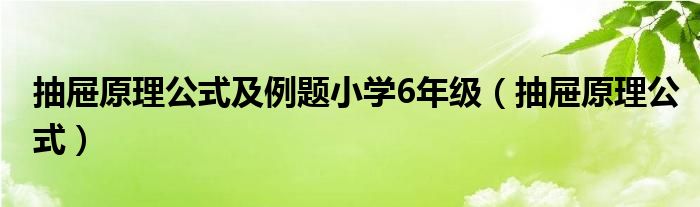 抽屉原理公式及例题小学6年级（抽屉原理公式）