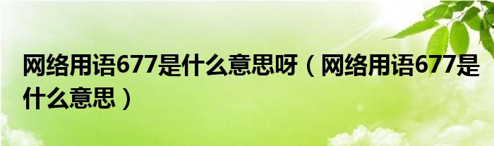 网络用语677是什么意思呀（网络用语677是什么意思）