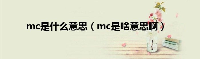 mc是什么意思（mc是啥意思啊）