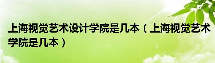 上海视觉艺术设计学院是几本（上海视觉艺术学院是几本）