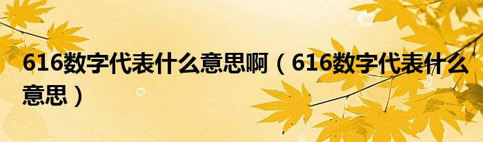 616数字代表什么意思啊（616数字代表什么意思）