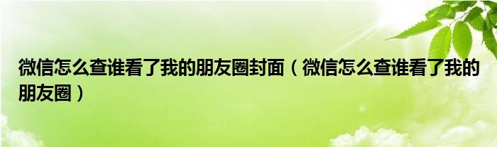 微信怎么查谁看了我的朋友圈封面（微信怎么查谁看了我的朋友圈）