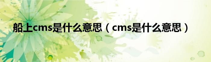 船上cms是什么意思（cms是什么意思）