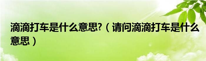 滴滴打车是什么意思?（请问滴滴打车是什么意思）