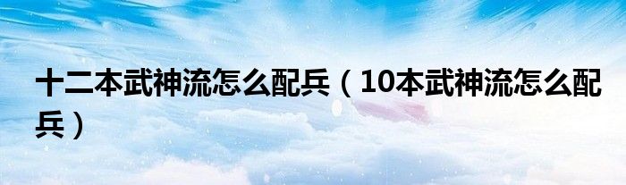 十二本武神流怎么配兵（10本武神流怎么配兵）