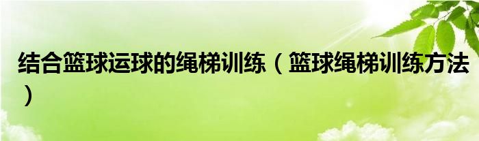 结合篮球运球的绳梯训练（篮球绳梯训练方法）