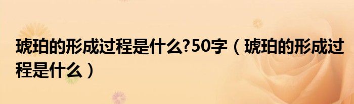 琥珀的形成过程是什么?50字（琥珀的形成过程是什么）