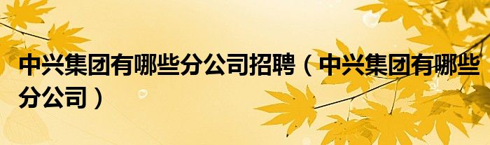 中兴集团有哪些分公司招聘（中兴集团有哪些分公司）