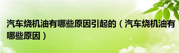 汽车烧机油有哪些原因引起的（汽车烧机油有哪些原因）